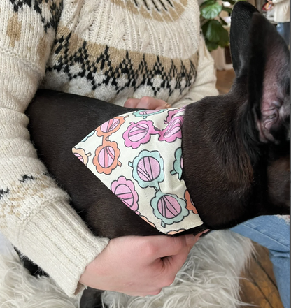 French Bulldog Wearing Daisy Sunglasses Dog Bandana