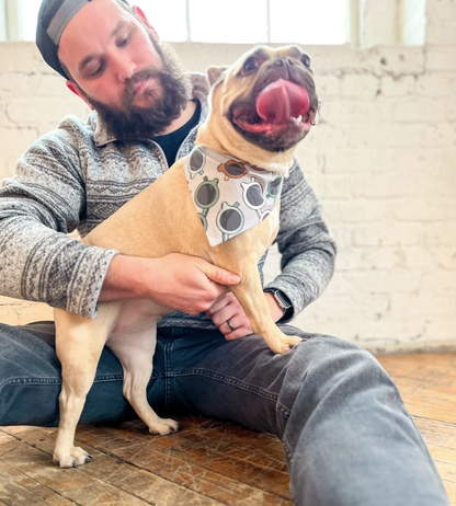 French Bulldog wearing Modern Sunglasses Dog Bandana