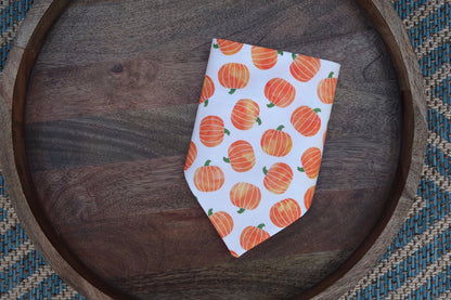 Watercolor Pumpkin Over the Collar Dog Bandana