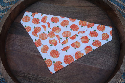 Watercolor Pumpkin Over the Collar Dog Bandana