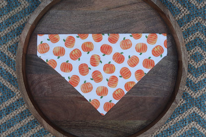 Watercolor Pumpkin Over the Collar Dog Bandana