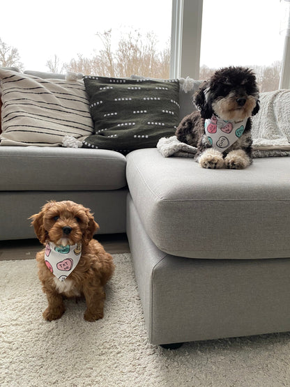 Conversation Heart Dog Bandana