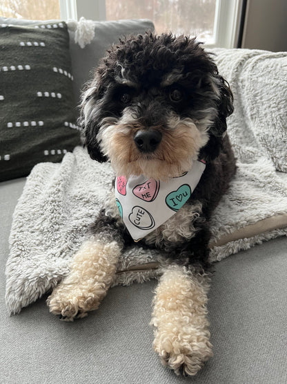 Valentine's Day Dog Bandana