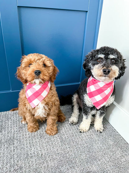 Dogs Wearing Picnic Dog Bandana