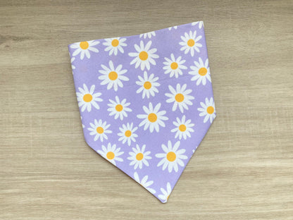 Purple Daisy Over the Collar Dog Bandana