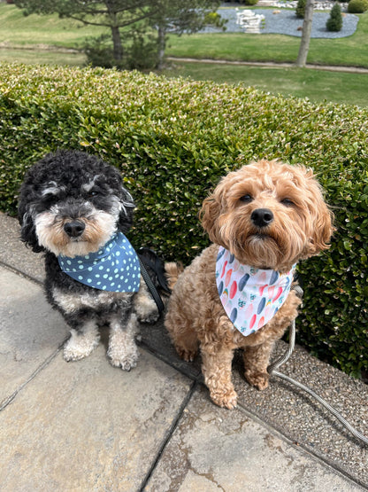 Dogs wearing Surfboard Reversible Dog Bandana