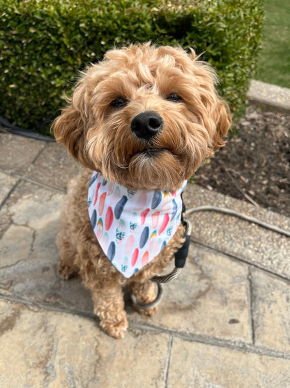 Cavapoo wearing Surfboard Reversible Dog Bandana