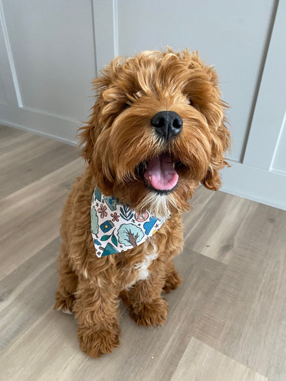 Hiking Over the Collar Dog Bandana