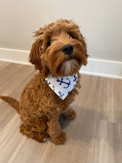 Ancor Dog Bandana