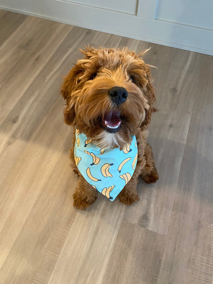 Banana Over the Collar Dog Bandana