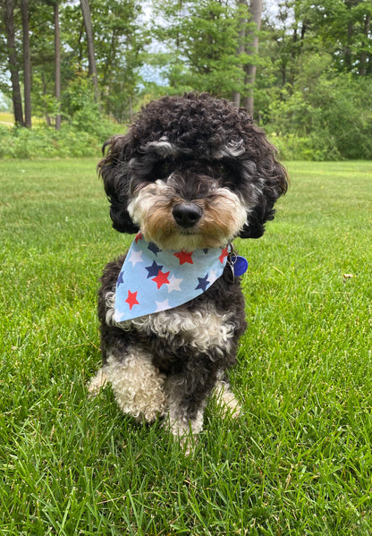 Light Blue Stars Dog Bandana