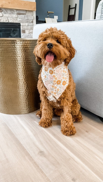 Golden Floral Over the Collar Dog Bandana