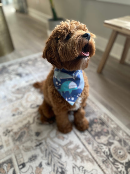 Dog wearing Shark Over the Collar Dog Bandana