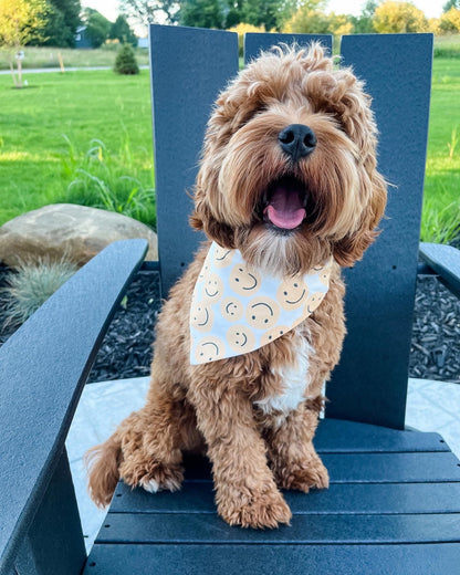 Dog wearing Over the Collar Smiley Face Dog Bandana