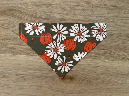 Fall Daisy Pumpkin Dog Bandana