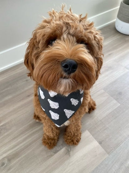 Ghost Dog Bandana