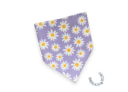 Purple Daisy Dog Bandana