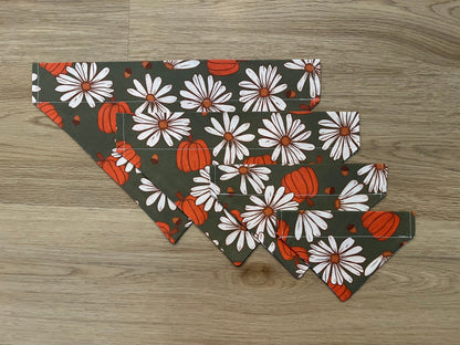 Fall Daisy Pumpkin Dog Bandana