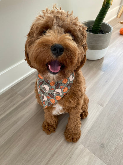 Fall Beanie Football Over the Collar Dog Bandana