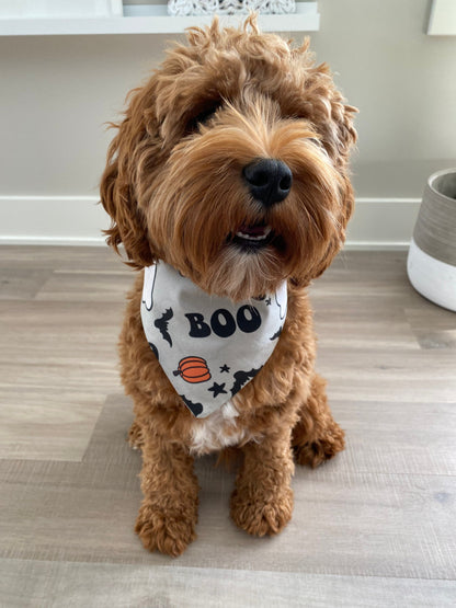 Halloween Over the Collar Dog Bandana