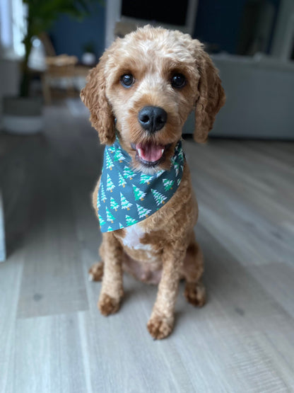 Dog wearing Winter Trees Dog Bandana